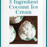 3-Ingredient Coconut Ice Cream